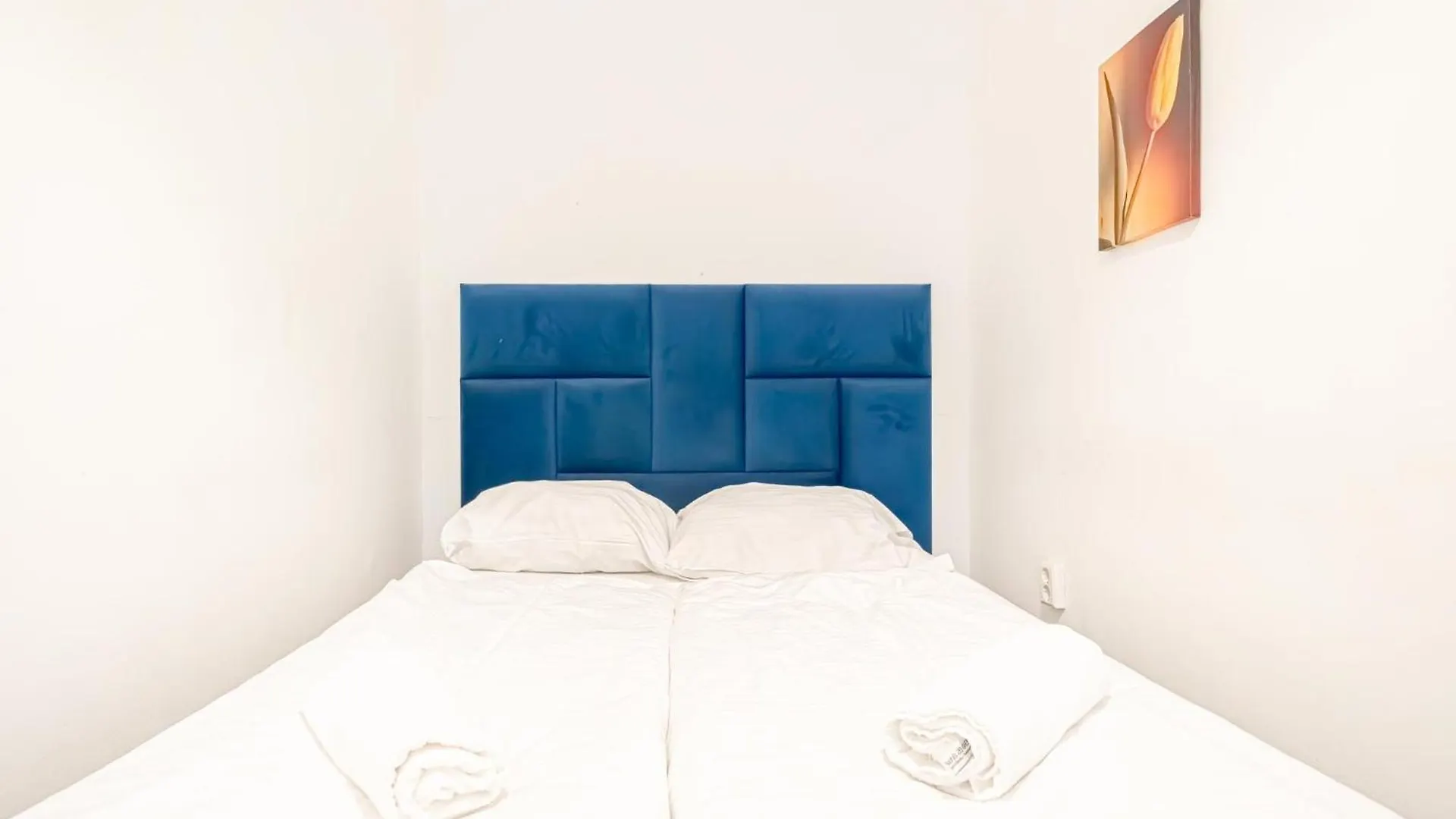 Central Belvedere 3Br Shared Apartment - 12 Min From City Center Viyana