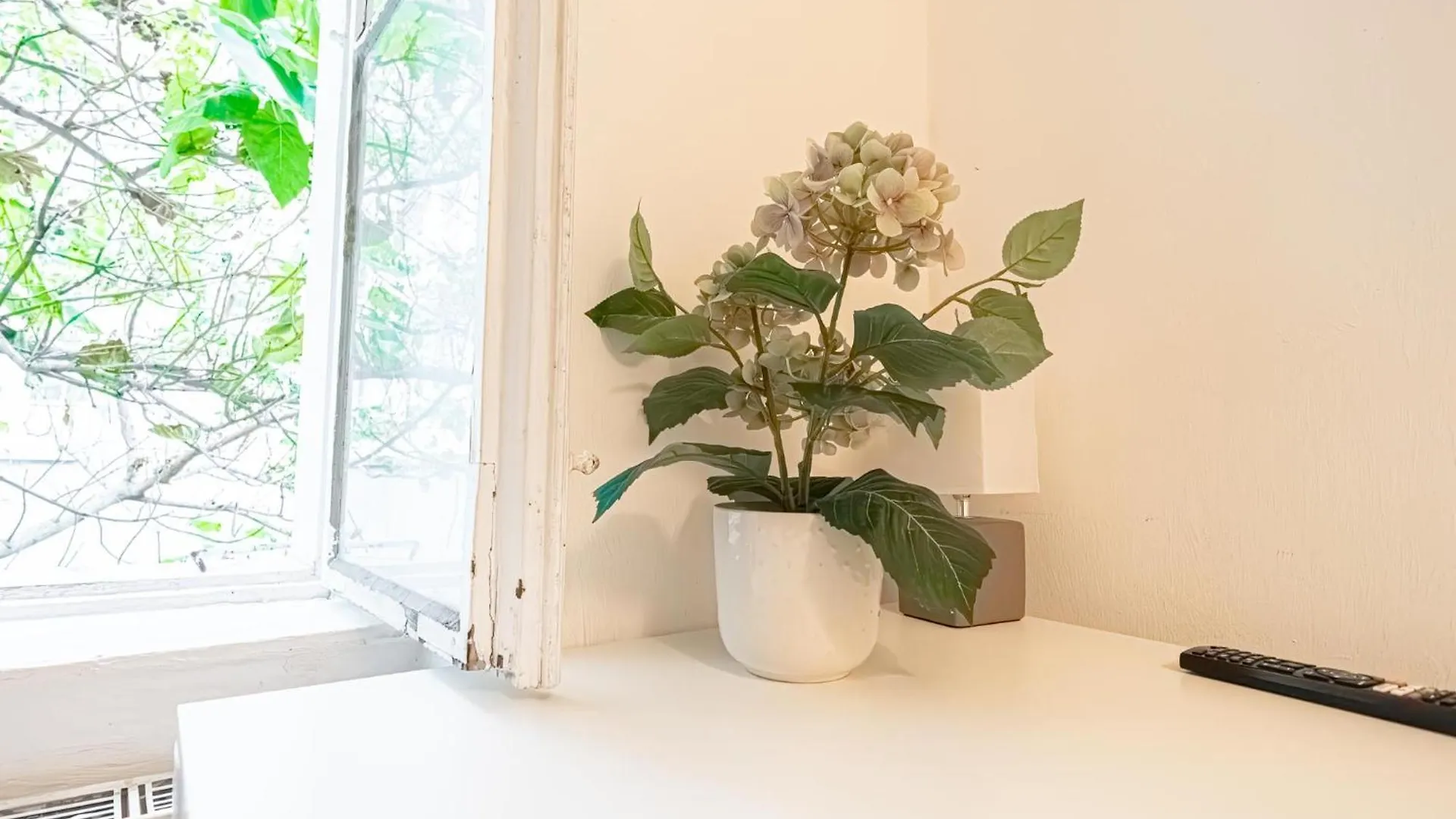 Central Belvedere 3Br Shared Apartment - 12 Min From City Center Viyana 0*,